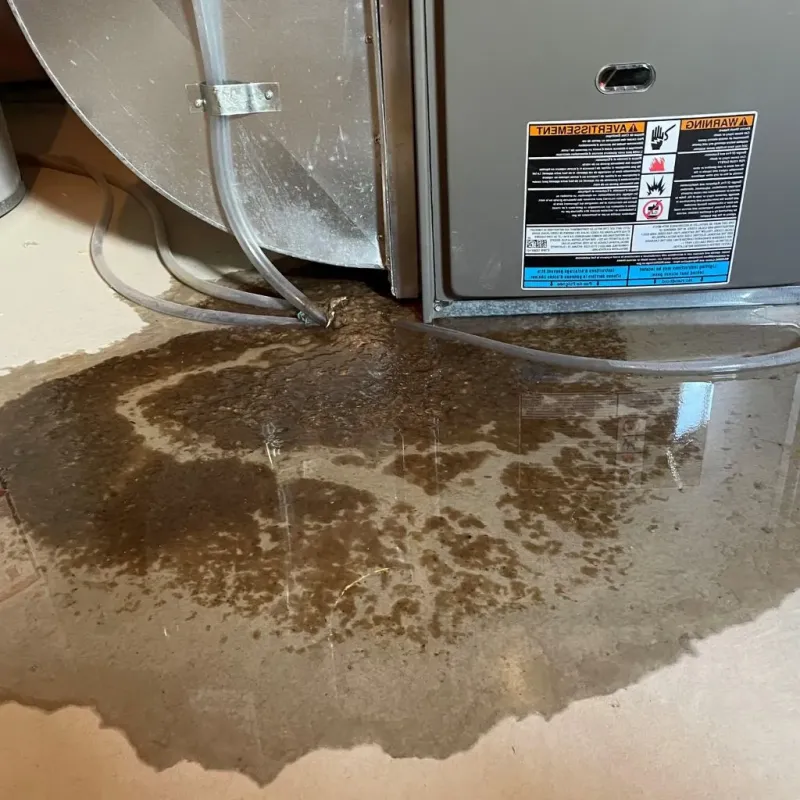 Pipe Burst and Leak Restoration in Salem Heights, OH