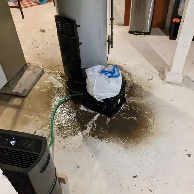 Sewage Backup Cleanup Service in Salem Heights, OH